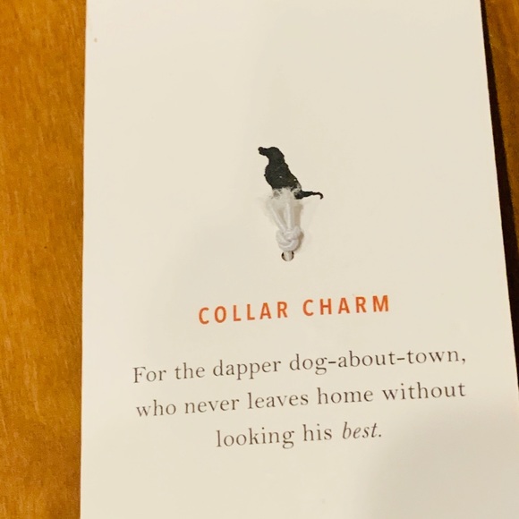 Anthropologie Dog Tag New NWT - Picture 4 of 4